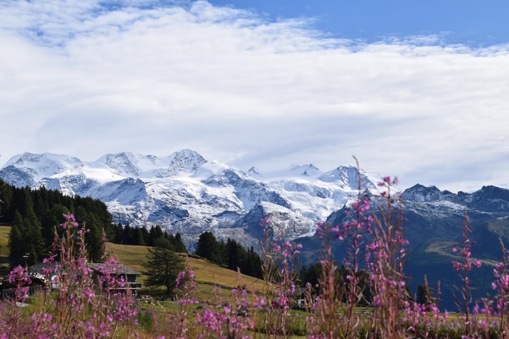 Le Rocher Hotel Champoluc Exteriér fotografie